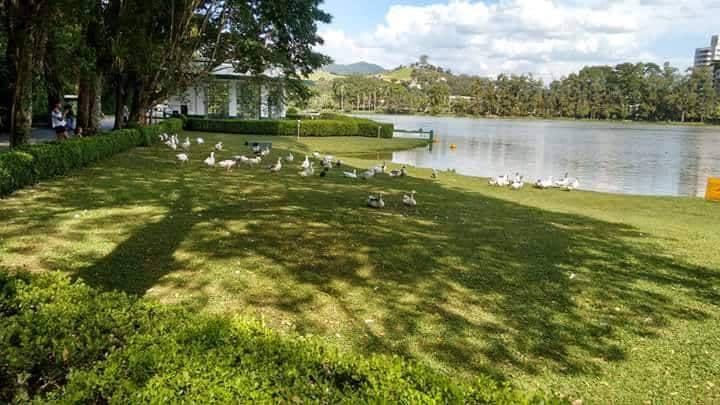 Parque das águas , São Lourenço, MG