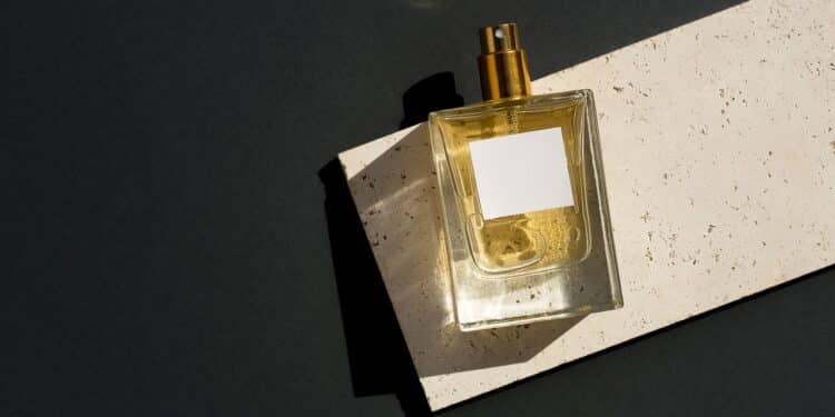 Os 3 perfumes baratinhos que trazem sensação imediata de frescor e confiança