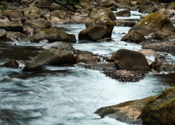 Cinco benefícios incríveis do Feng Shui na natureza que você precisa sentir