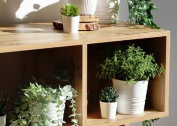 O que o Feng Shui revela sobre plantas artificiais vai te deixar assustado