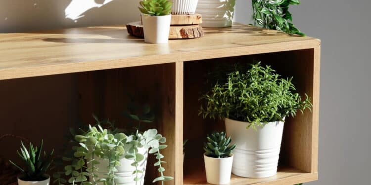 O que o Feng Shui revela sobre plantas artificiais vai te deixar assustado