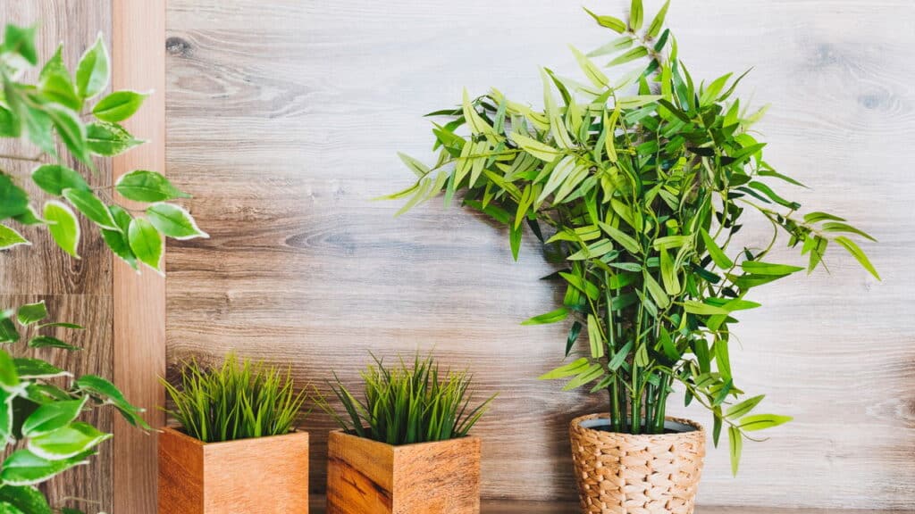 O que o Feng Shui revela sobre plantas artificiais vai te deixar assustado