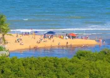 Créditos: depositphotos.com / vbacarin