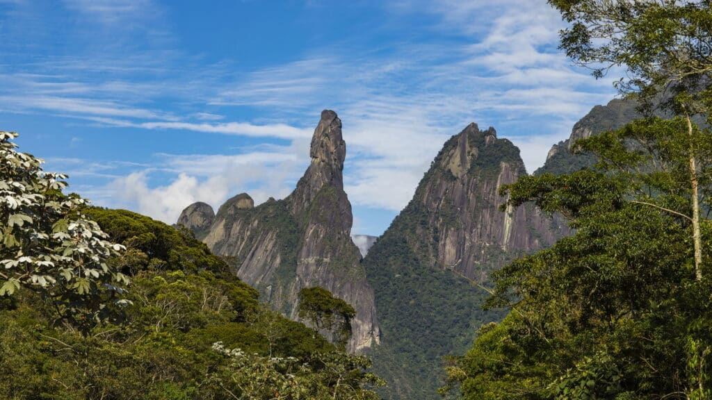 Créditos: depositphotos.com / Ranimiro