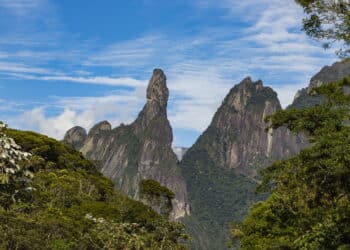 Créditos: depositphotos.com / Ranimiro