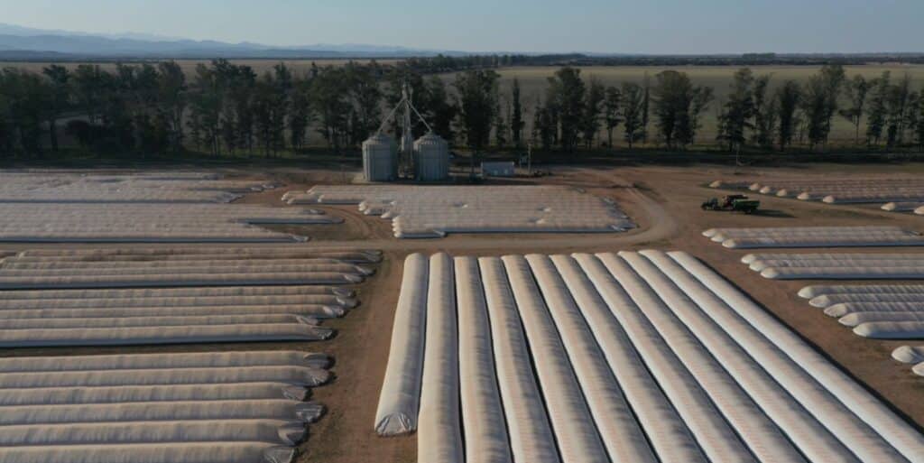 Por que esta tecnologia argentina foi fundamental para a agricultura moderna?