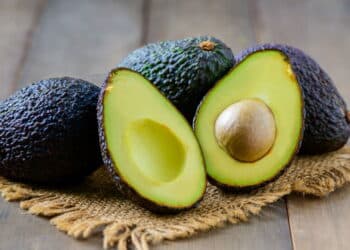 Como cultivar abacateiros em casa a partir de estaquia?