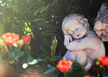 Créditos: depositphotos.com / Izzzy71