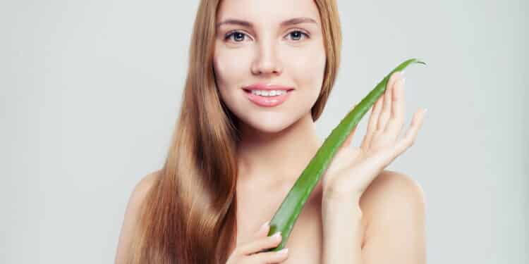 Babosa (aloe vera) // Créditos: depositphotos.com / Artmim