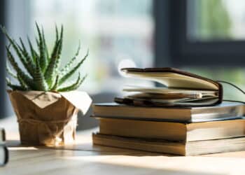 As plantas para escritório que trazem beleza e aumentam o foco no trabalho