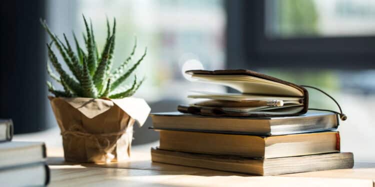 As plantas para escritório que trazem beleza e aumentam o foco no trabalho