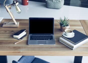 As 5 plantas ideais para trazer sucesso ao seu escritório home office em casa