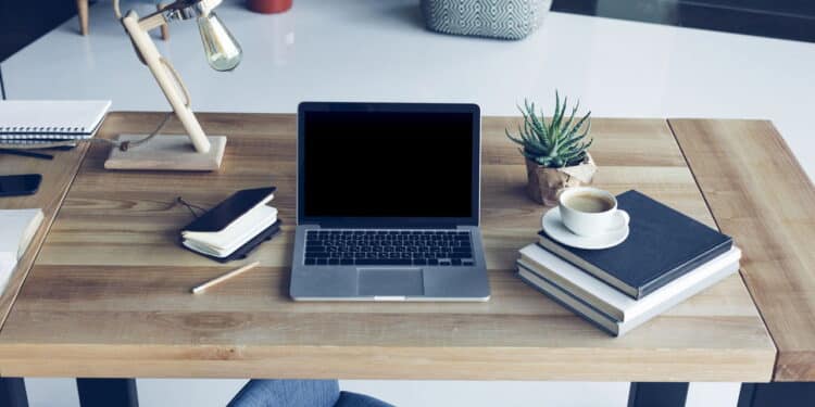 As 5 plantas ideais para trazer sucesso ao seu escritório home office em casa