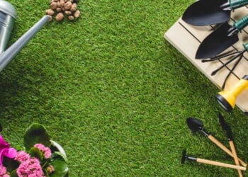 Como transformar sua casa em um espaço verde saudável e econômico