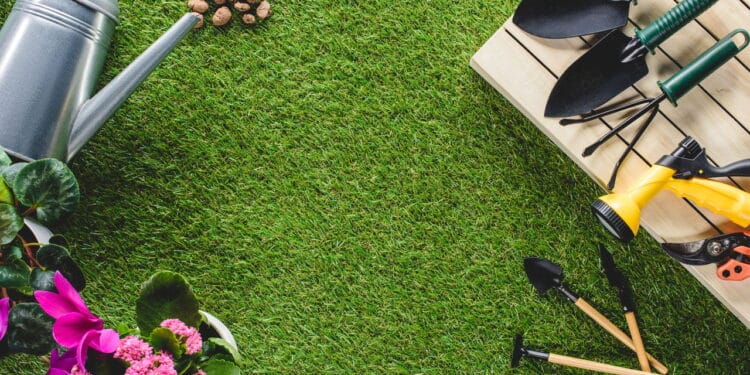 Como transformar sua casa em um espaço verde saudável e econômico