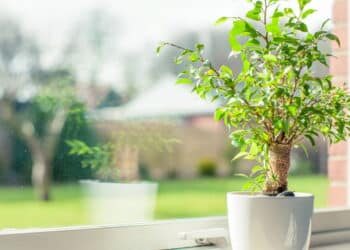 Créditos: depositphotos.com / Sportactive