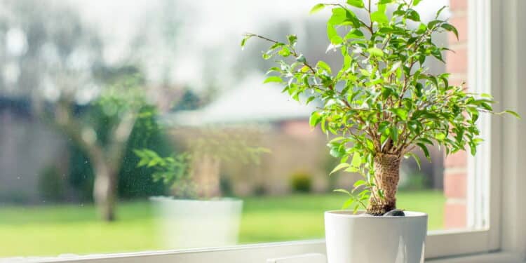 Créditos: depositphotos.com / Sportactive