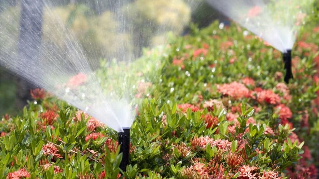 O segredo do jardim inteligente em casa que encanta sem esforço