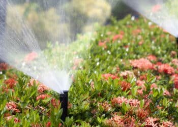 O segredo do jardim inteligente em casa que encanta sem esforço