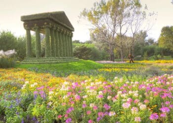 O segredo para criar um jardim encantado em casa com pouco esforço