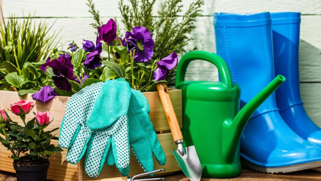O kit de jardinagem perfeito para cuidar do seu jardim sem esforços