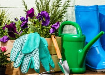 O kit de jardinagem perfeito para cuidar do seu jardim sem esforços