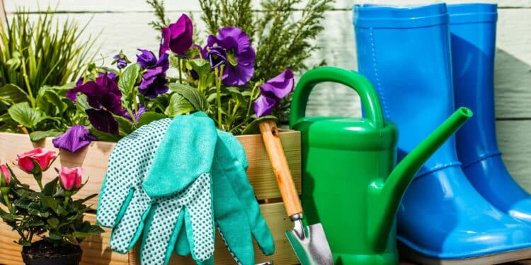 O kit de jardinagem perfeito para cuidar do seu jardim sem esforços