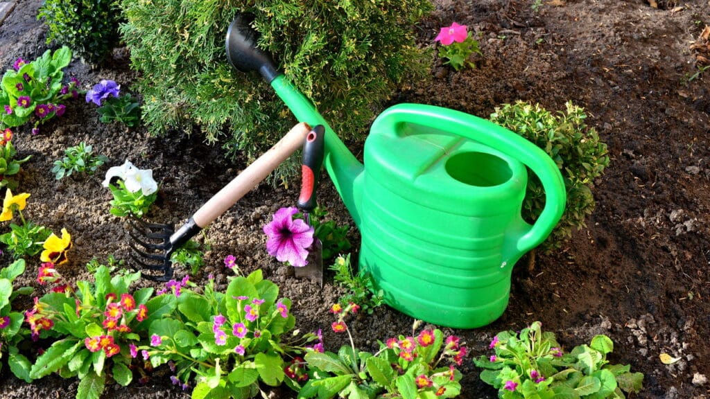 O segredo para mudar plantas de vaso sem prejudicar seu crescimento