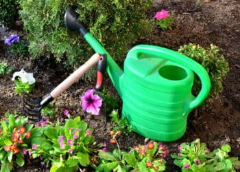 O kit de jardinagem perfeito para cuidar do seu jardim sem esforços