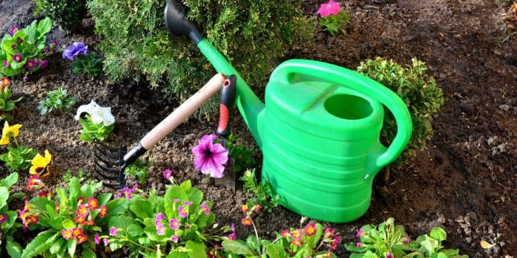 O kit de jardinagem perfeito para cuidar do seu jardim sem esforços
