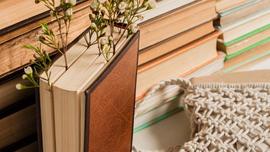 O truque para manter seus livros livres do mofo e bem conservados