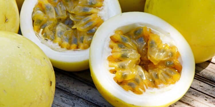 Refresque-se com esse geladinho tropical!