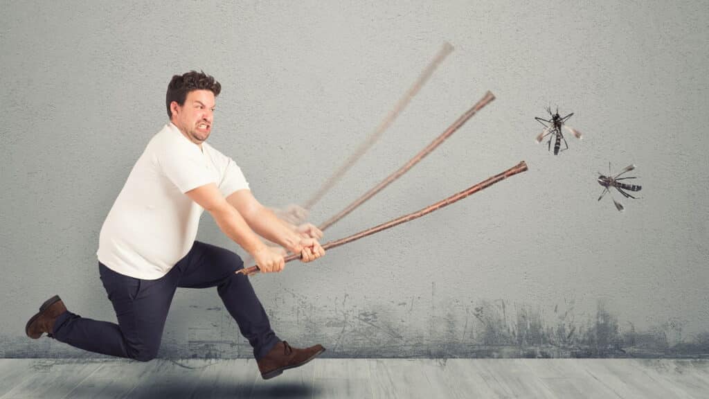 O melhor truque para expulsar mosquitos da sua casa
