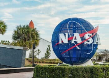 As 5 plantas purificadoras da NASA que você pode ter no seu jardim