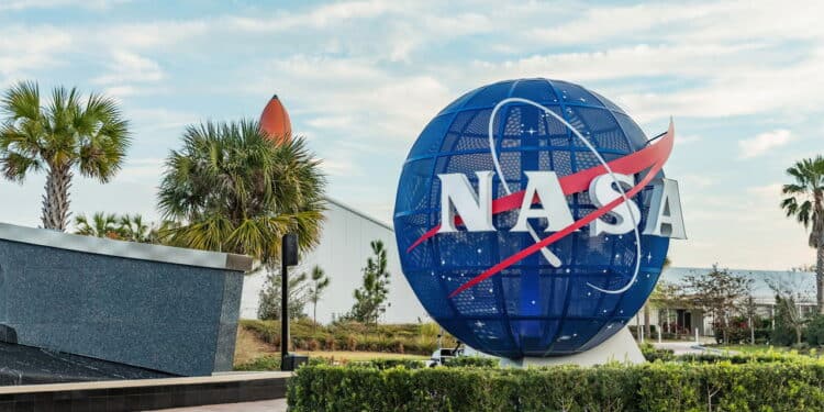 As 5 plantas purificadoras da NASA que você pode ter no seu jardim