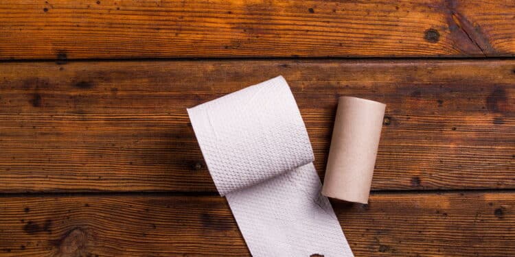 Nunca jogue rolinho de papel fora e aprenda truques para sua casa