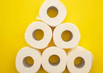 Papel higienico // Créditos: depositphotos.com / VadimVasenin