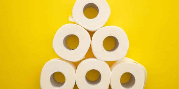 Papel higienico // Créditos: depositphotos.com / VadimVasenin