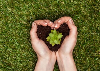 Planta e terra formando um coração // Créditos: depositphotos.com / KateNovikova