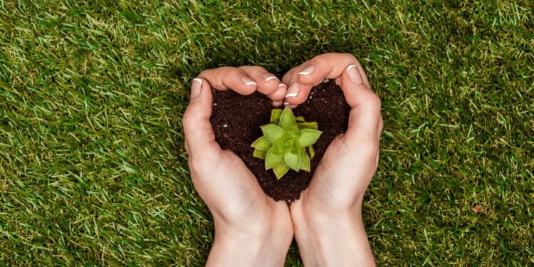 Planta e terra formando um coração // Créditos: depositphotos.com / KateNovikova