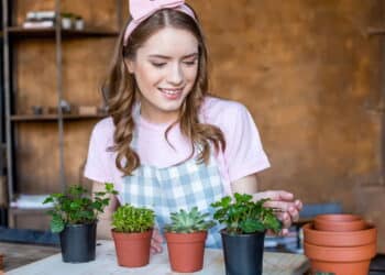 É verdade que conversar com plantas pode ajudar no crescimento?