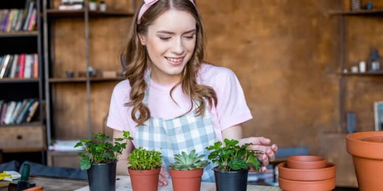 É verdade que conversar com plantas pode ajudar no crescimento?