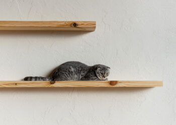 A melhor forma para tornar sua casa moderna sem gastar muito
