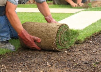 Transforme seu quintal neste verão com projetos DIY fáceis e cheios de estilo