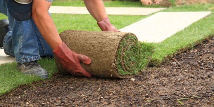 Transforme seu quintal neste verão com projetos DIY fáceis e cheios de estilo