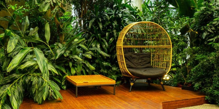 As novas tendências de decoração que vão dominar 2026