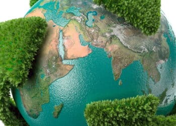 Novas tendências de revestimento transformam ambientes com sustentabilidade