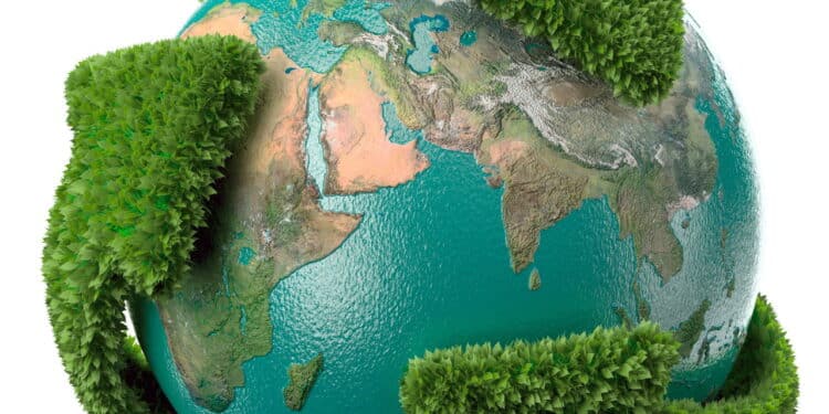 Novas tendências de revestimento transformam ambientes com sustentabilidade