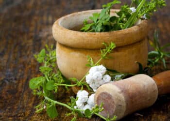 Os melhores truques para crescer temperos no seu jardim de forma simples