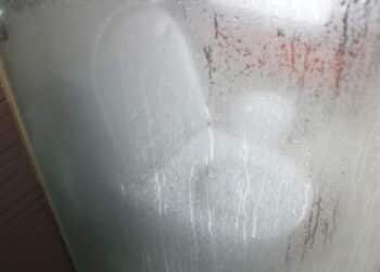 O truque simples para deixar o box do banheiro sem manchas brancas